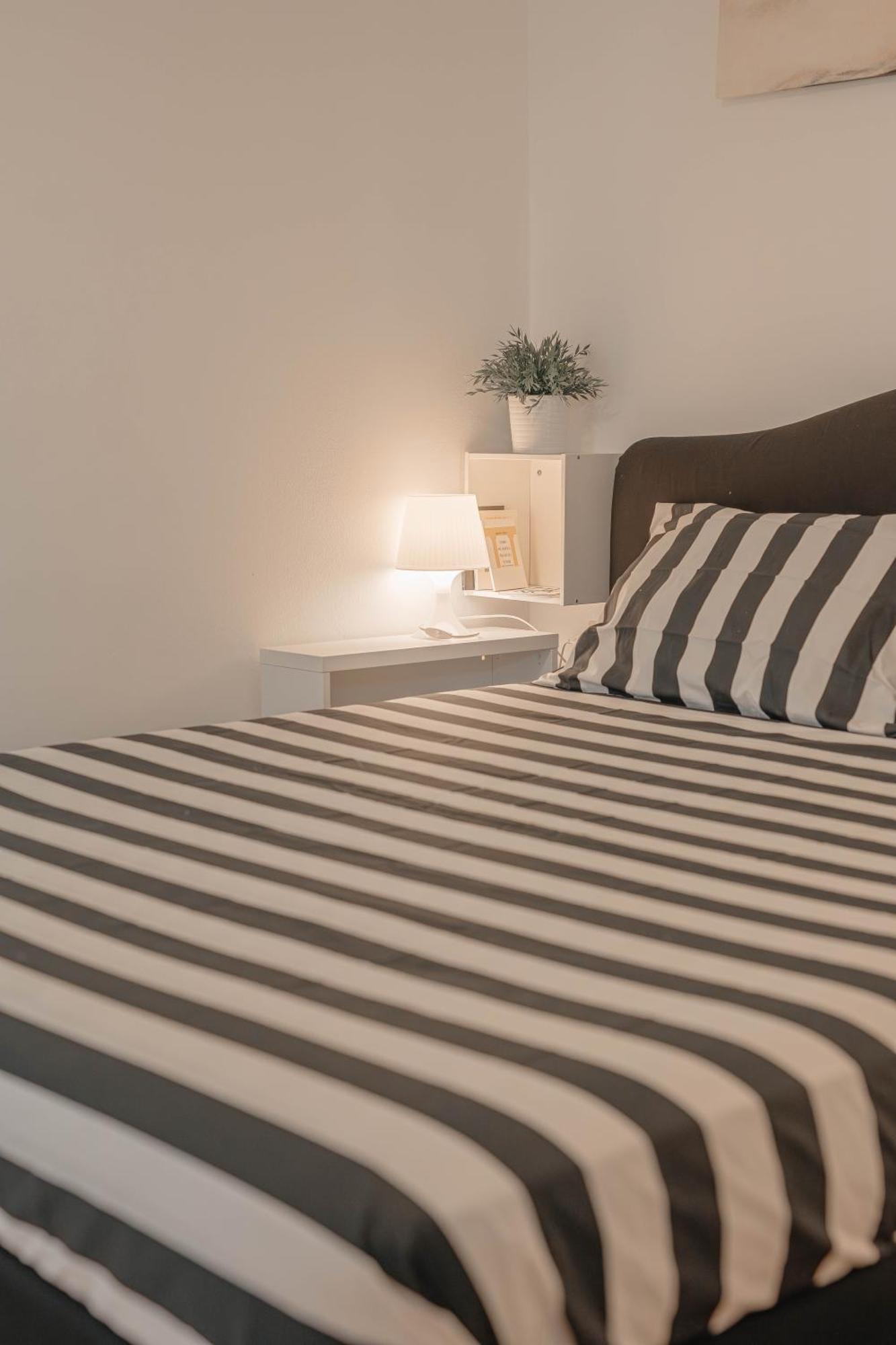 Appartement Solari New