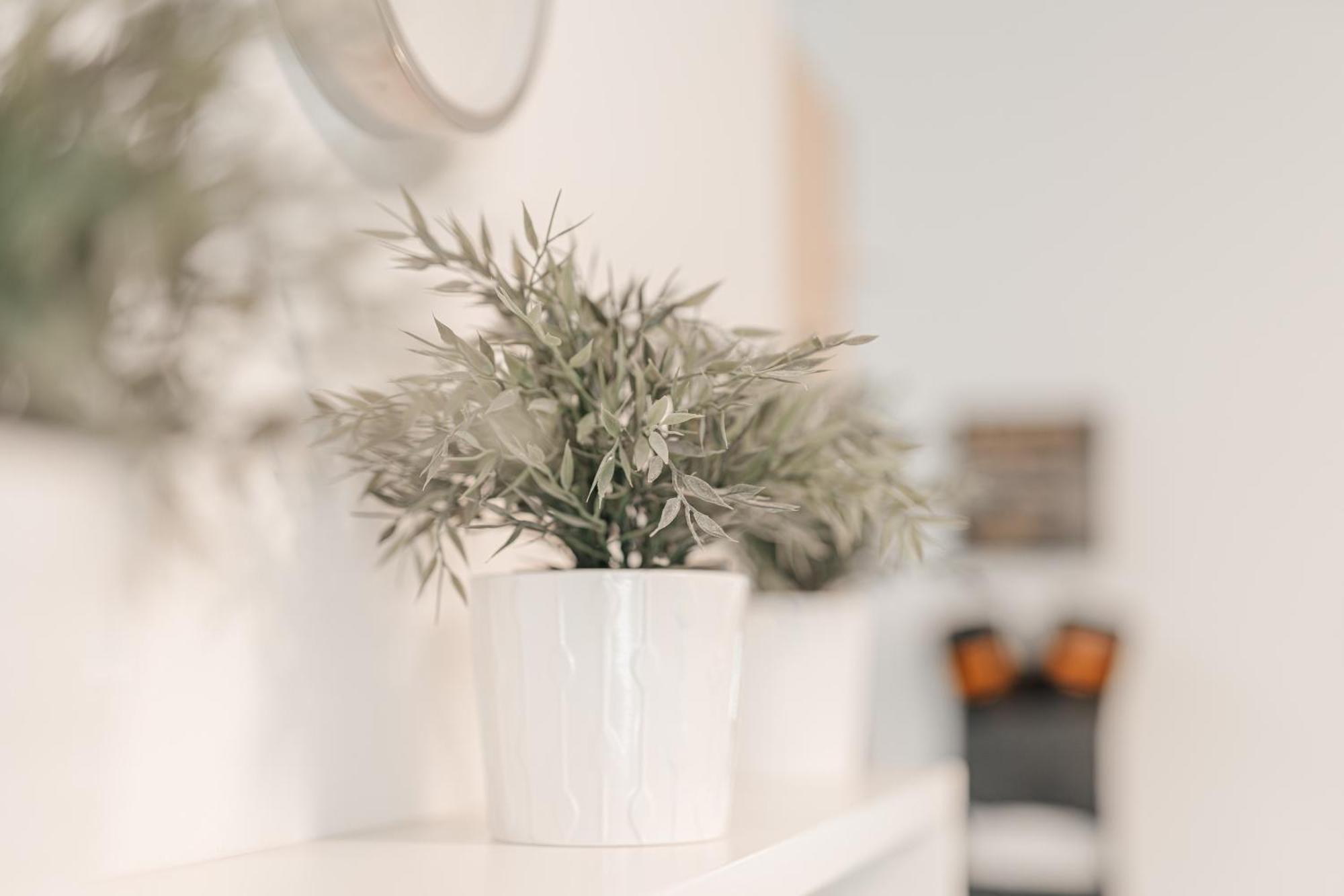 Appartement Solari New